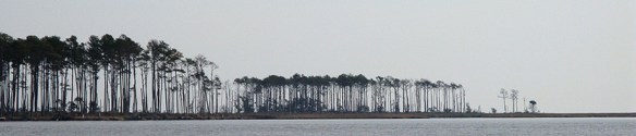 12-2-6 Pamlico Sound to Neuse