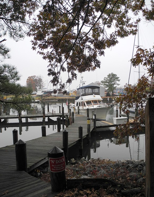 AV at Solomons Landing